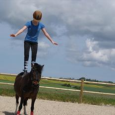 Anden særlig race Tøsen - Perfekte!<3