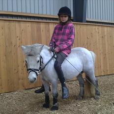 Schleswiger fede dorit