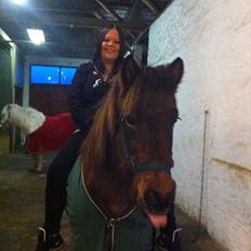 Islænder Gæfa fra Caspersgård