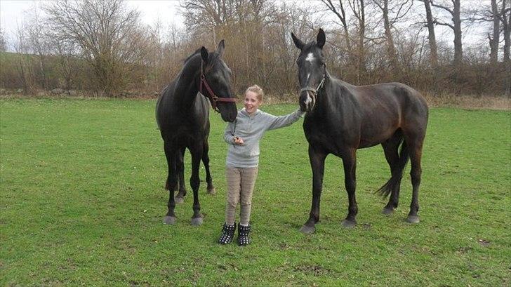 Oldenborg alfa - vi er seje billede 1