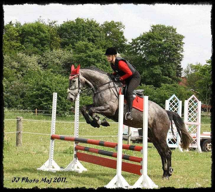 Holstener Castinè - 20.05.11. billede 5