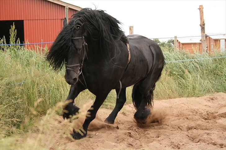 Frieser Wanne H men Master er ok billede 13