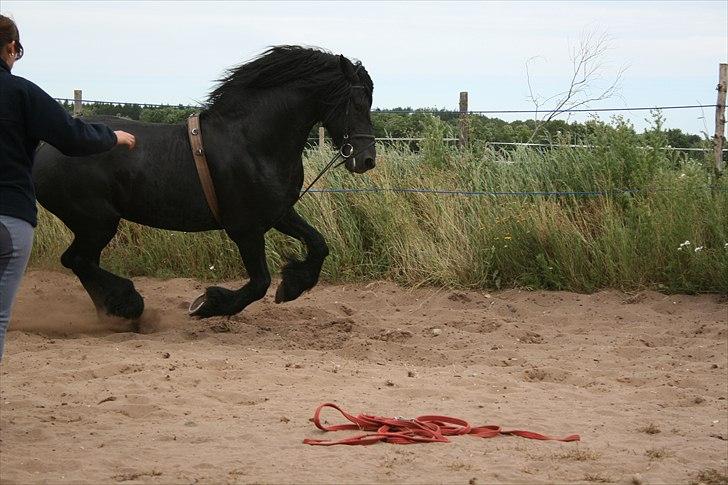 Frieser Wanne H men Master er ok billede 14