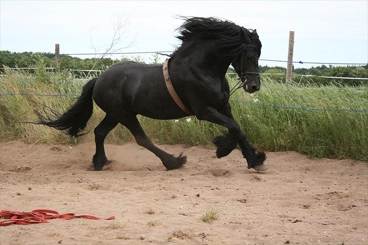 Frieser Wanne H men Master er ok billede 15