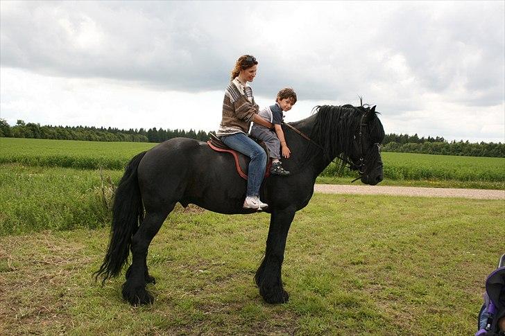 Frieser Wanne H men Master er ok billede 17