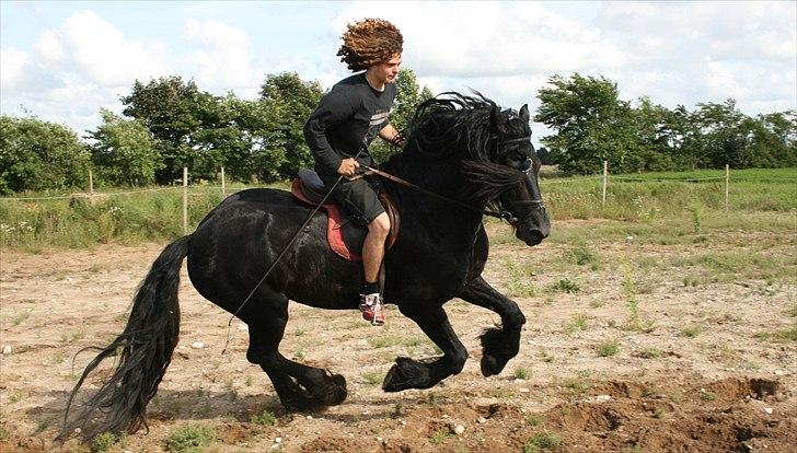 Frieser Wanne H men Master er ok billede 18