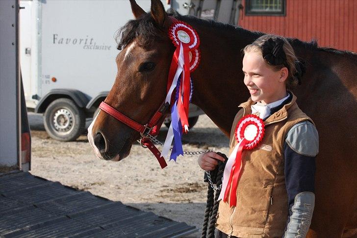 New Forest Odbjergs Elizar billede 6