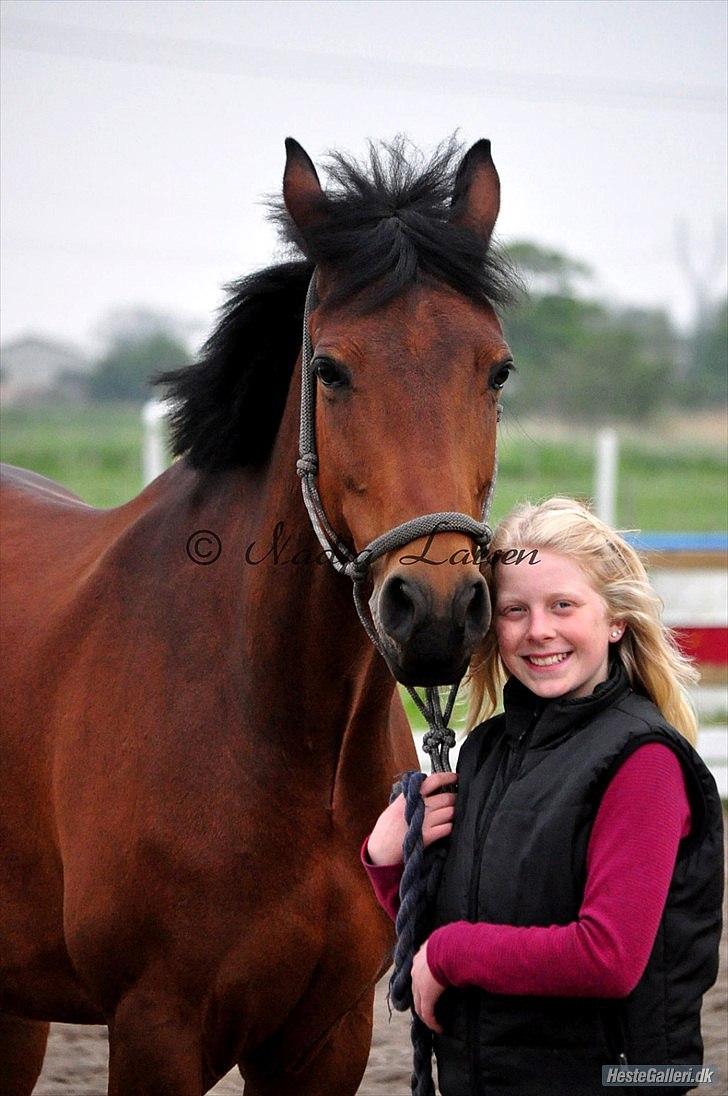 Anden særlig race Shania *part* - love. billede 18