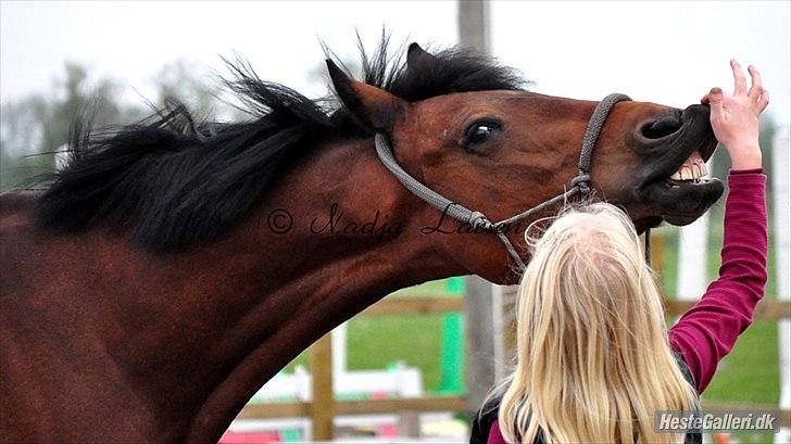 Anden særlig race Shania *part* - SMIIL :D billede 19