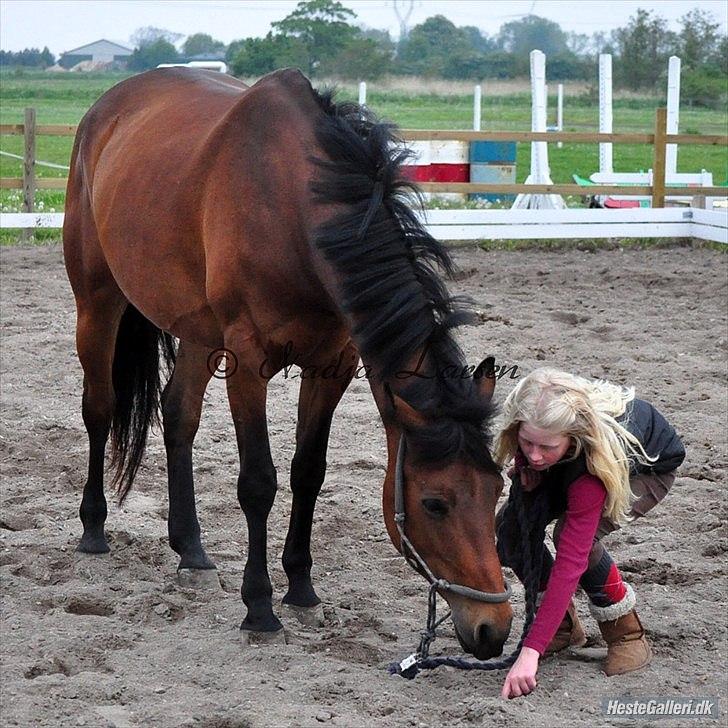 Anden særlig race Shania *part* - hvad er det?? =P  billede 20