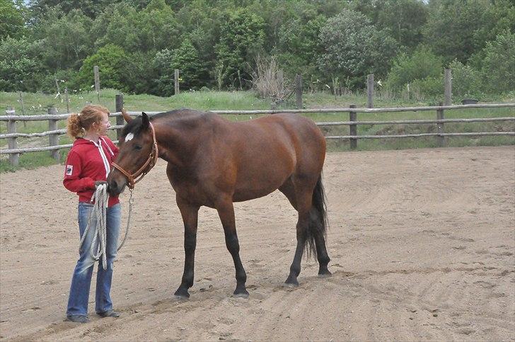 Anden særlig race Cleopatra - <3 billede 1