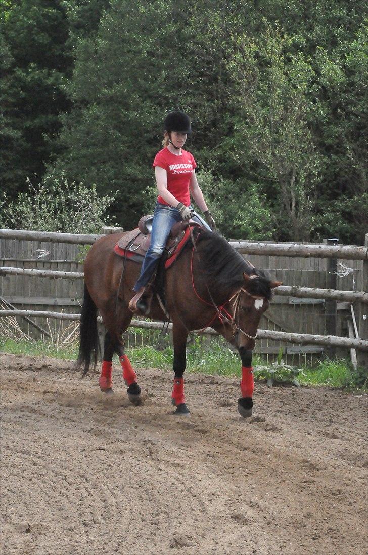 Anden særlig race Cleopatra billede 4