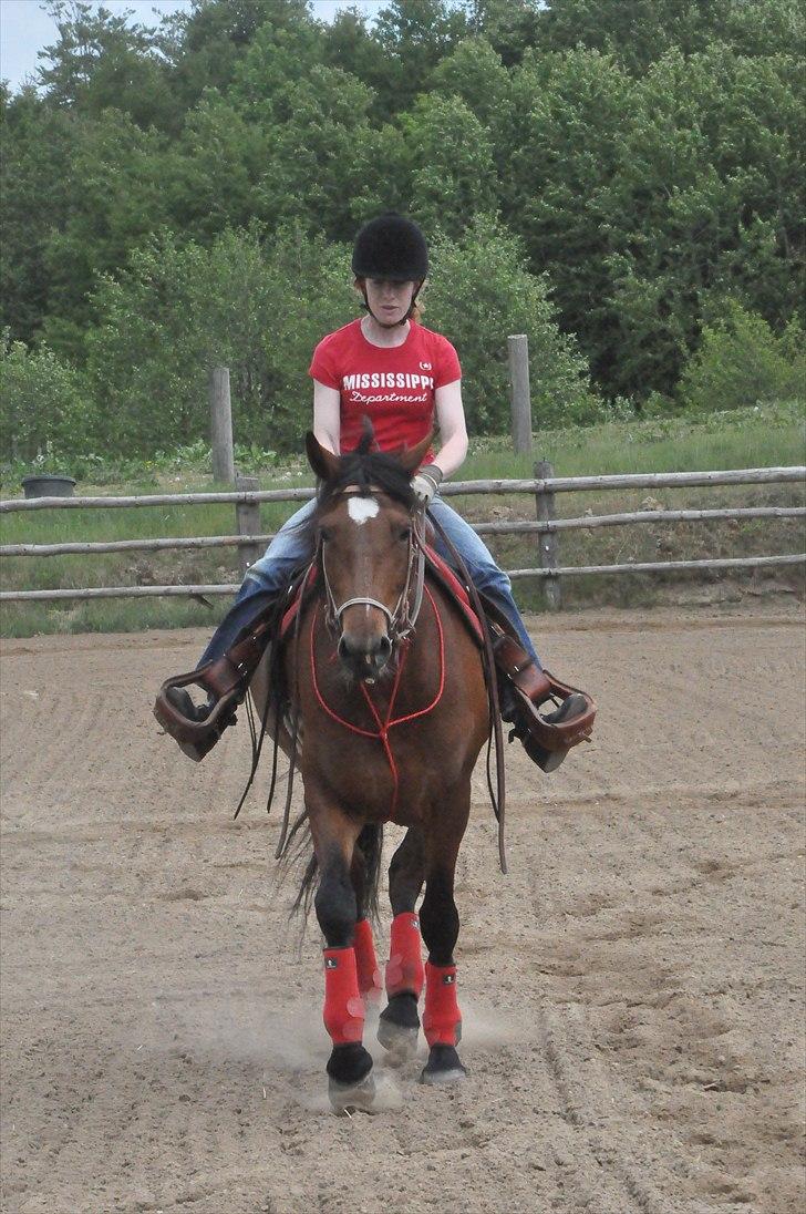 Anden særlig race Cleopatra - Laver stop signal.. billede 5