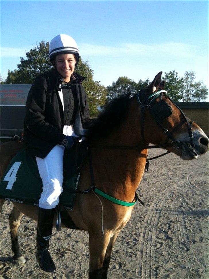 Gotlandsruss Bobbi SOLGT <3 - (NYT) Mig og Bobbi i Billund! :-)<3 billede 5