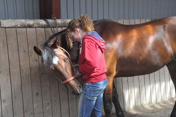 Anden særlig race Cleopatra - <3 billede 11