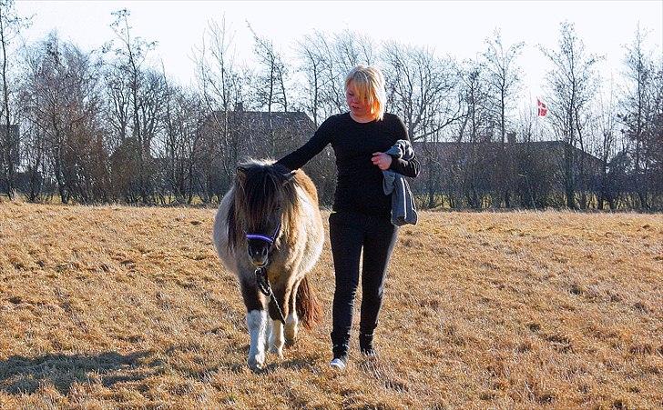 Shetlænder PH's Rammstein - 2011 billede 7