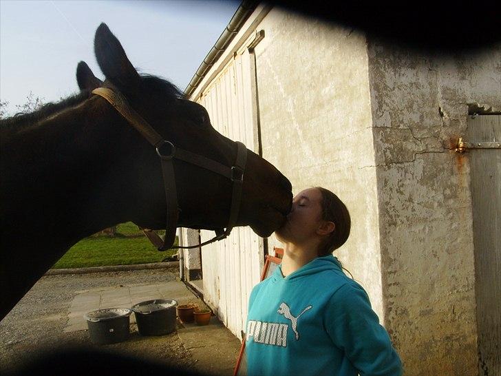 Anden særlig race Coffee Calina - Kys <3
Foto : Lotte Svarer (min mor) billede 5