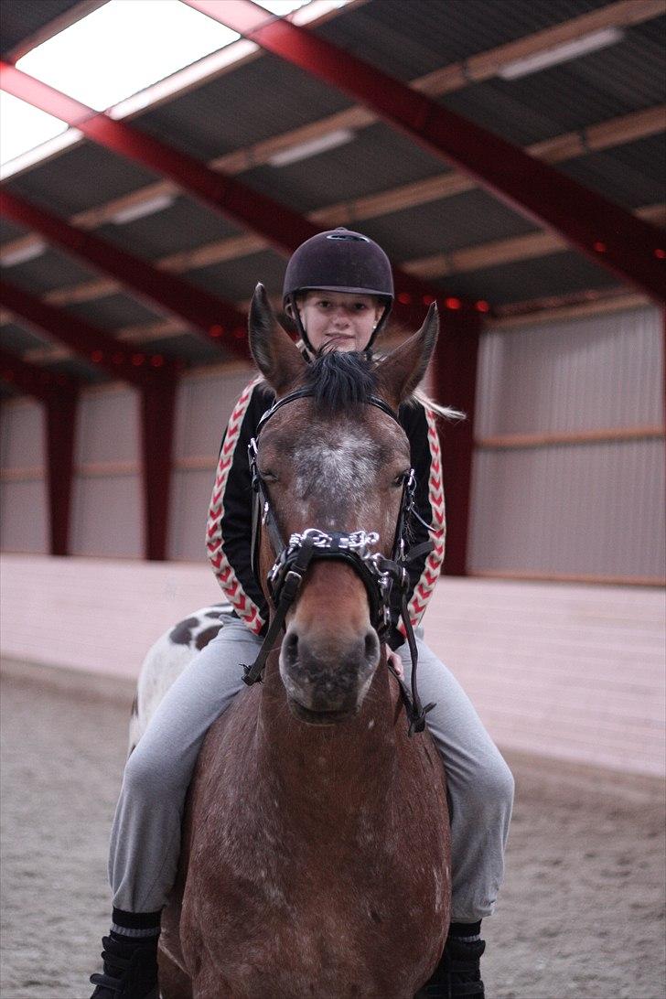 Anden særlig race Free Achak - Achak blinker lige til fotografen (; .. - med min lillesøster på ryggen billede 3