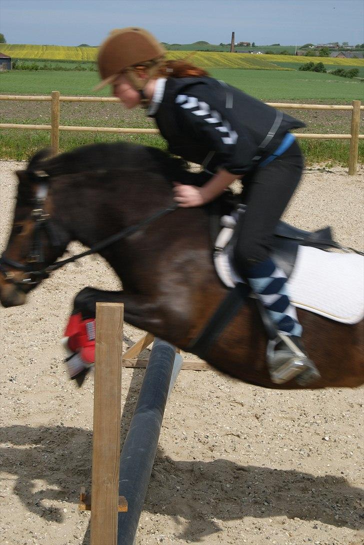 Anden særlig race Tøsen - Perfekte!<3 - Tøsen vi er bare kommet så lang begge to!:-) billede 13