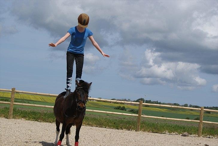 Anden særlig race Tøsen - Perfekte!<3 - Du og jeg!:-) Tøsen du er nok den eneste pony jeg har stolet 100% på?:-) måske fordi du stoler du på??:-* billede 3