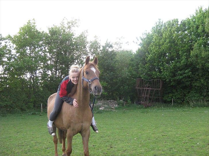 DSP Bobby Joe *solgt* billede 17