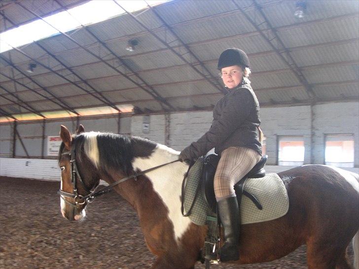 Anden særlig race Johana - se de smukke tøsser sammen billede 6