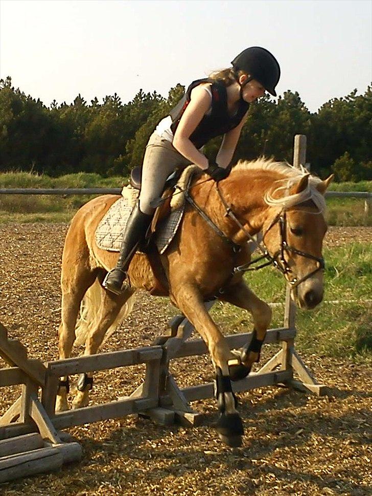 Anden særlig race  Smilla <3:i billede 16