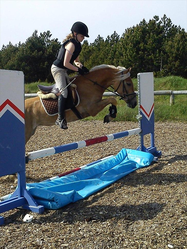 Anden særlig race  Smilla <3:i billede 12