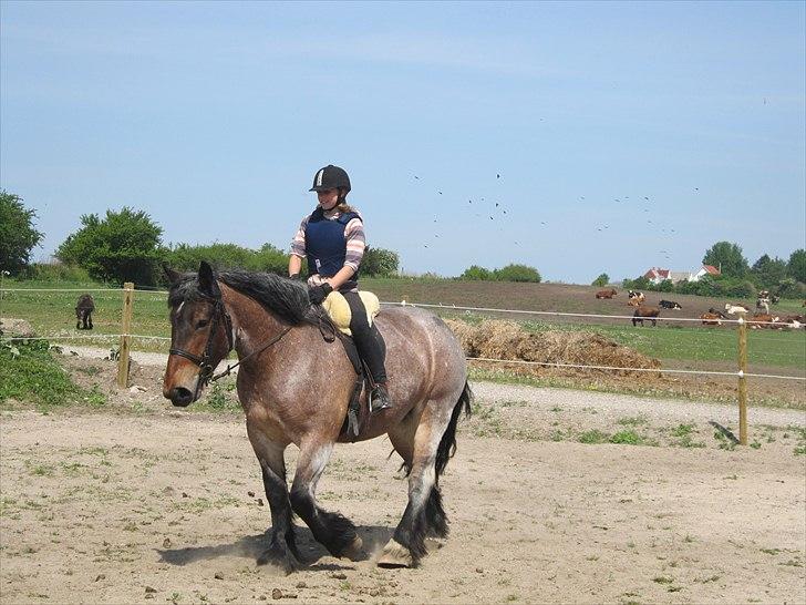 Belgier Mette Støvringgård  - Mette den 21-05-2011 billede 13