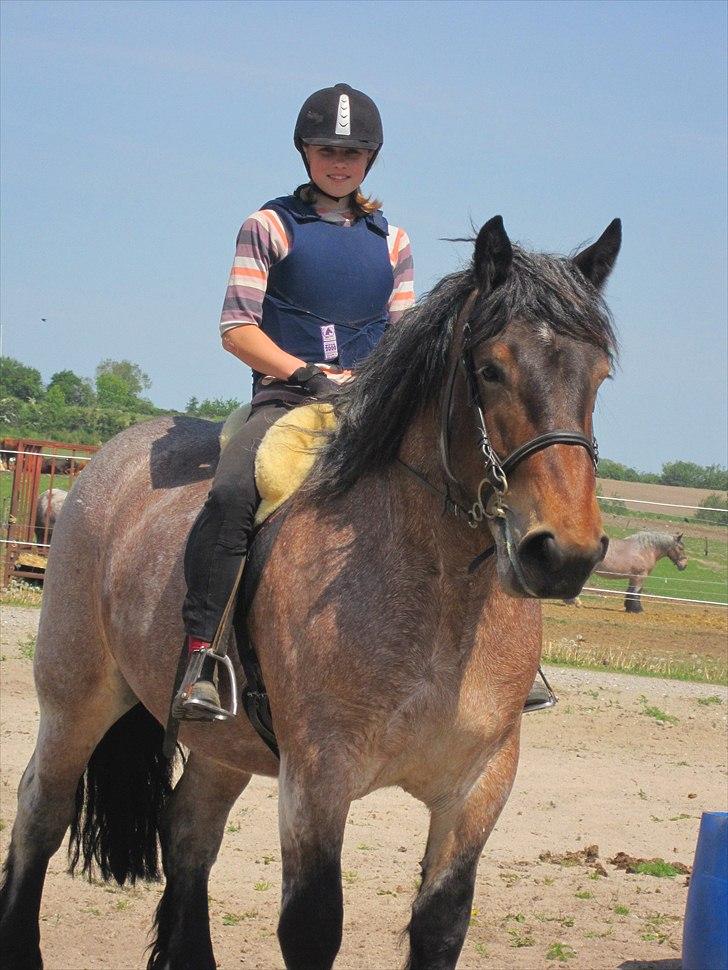Belgier Mette Støvringgård  billede 14