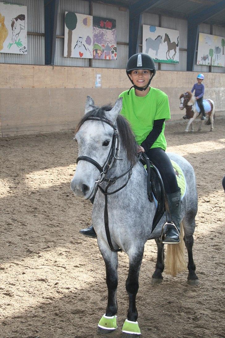 Welsh Pony (sec B) Dustin<3 SOLGT billede 10