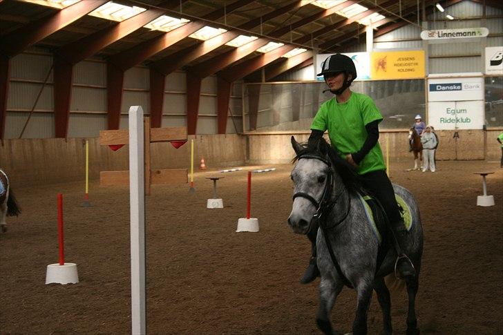 Welsh Pony (sec B) Dustin<3 SOLGT billede 12