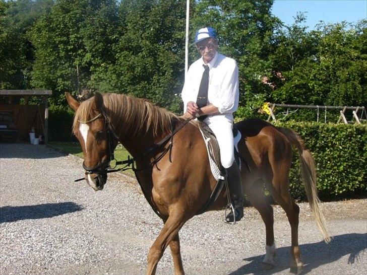 Sportsaraber (A) Lukas d 28 november Hvil i fred - Min morfar klar til ringridning /EJER/ billede 17