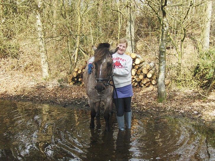 Anden særlig race Lola billede 12