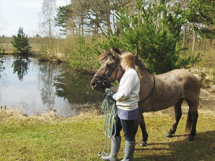 Anden særlig race Lola billede 14