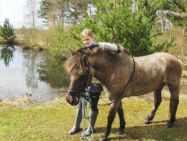 Anden særlig race Lola billede 15