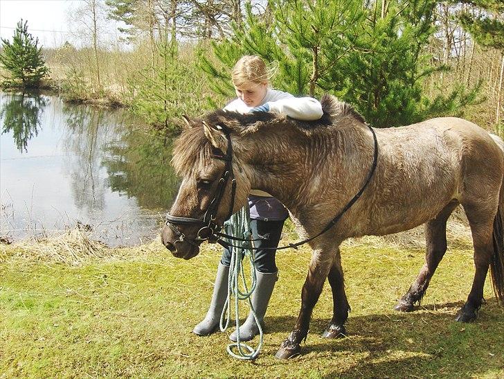 Anden særlig race Lola billede 16