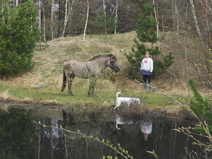 Anden særlig race Lola billede 18