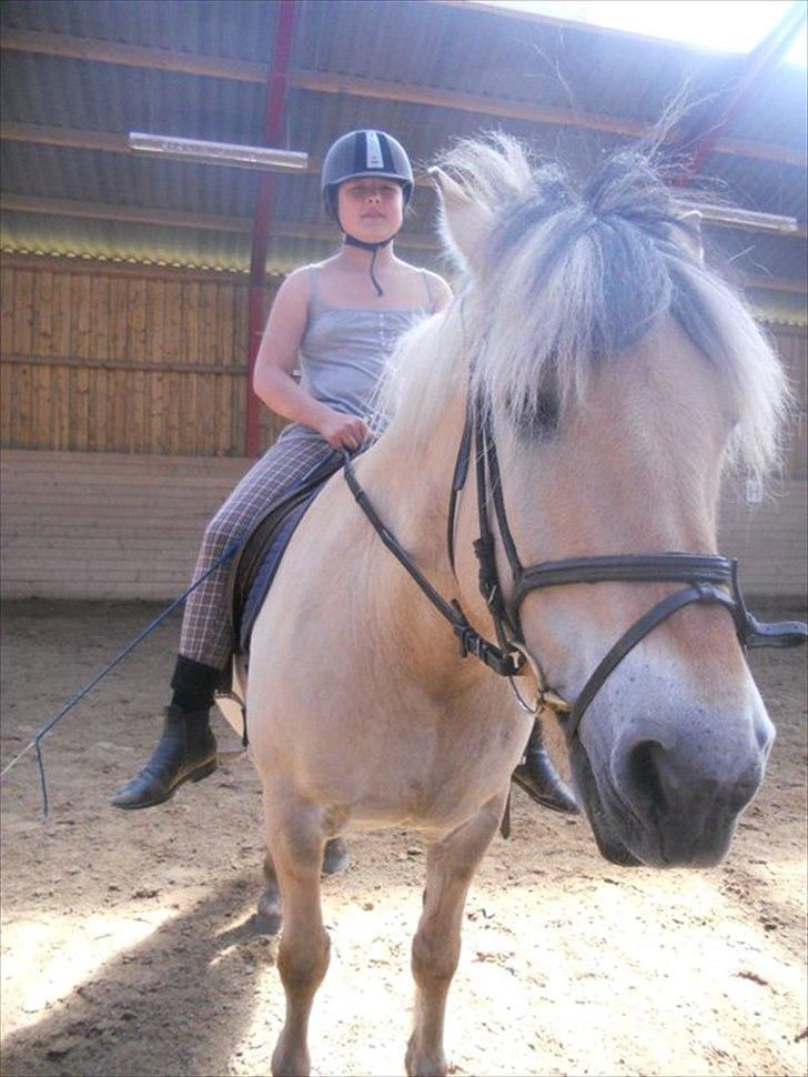 Fjordhest Claus - You can find my smile even though I have the sad thoughts inside the mind <3
(Foto:Lara) billede 6
