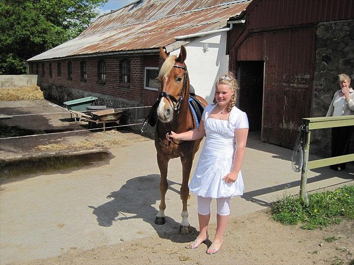 Anden særlig race Klosterhedens Talisman - Konfirmation <3 2011 billede 7