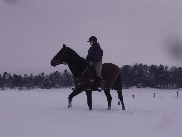 Anden særlig race Arthur - I vinters :* Fordi jeg elsker dig basse mand :* <3 billede 15