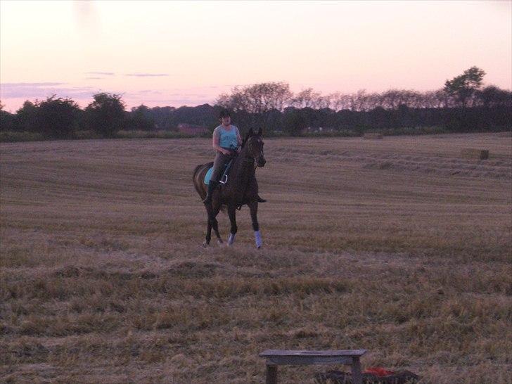 Anden særlig race Arthur - En sommeraften :D <3 billede 16