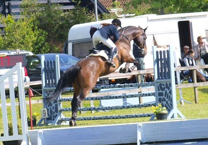 Anden særlig race Spangbogaards Felix [Redet] - 20/5 2011ULB* Foto: Signe Vilain billede 8