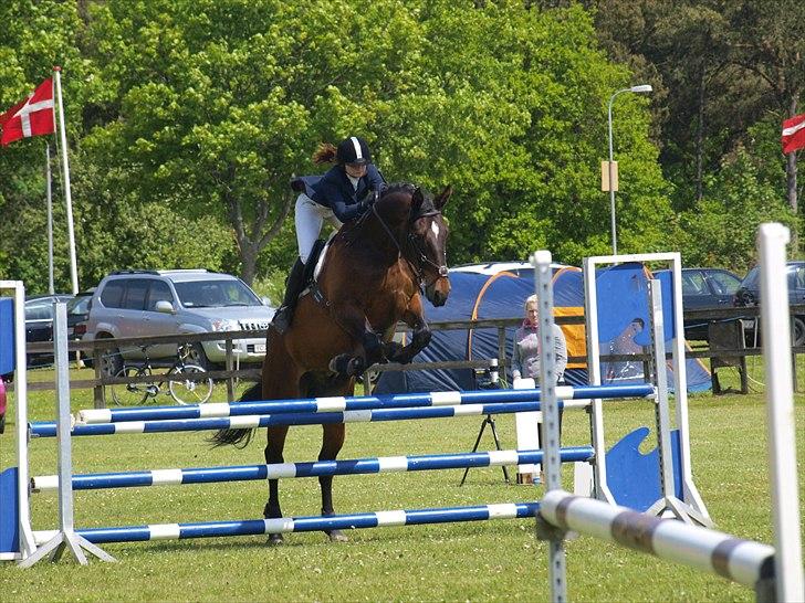 Anden særlig race Spangbogaards Felix [Redet] - 20/5 2011 LB* Foto: Signe Vilain billede 9