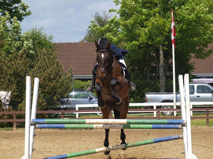 Anden særlig race Spangbogaards Felix [Redet] - 20/5 2011 Opvarmning LB :) Foto: Signe Vilain billede 10