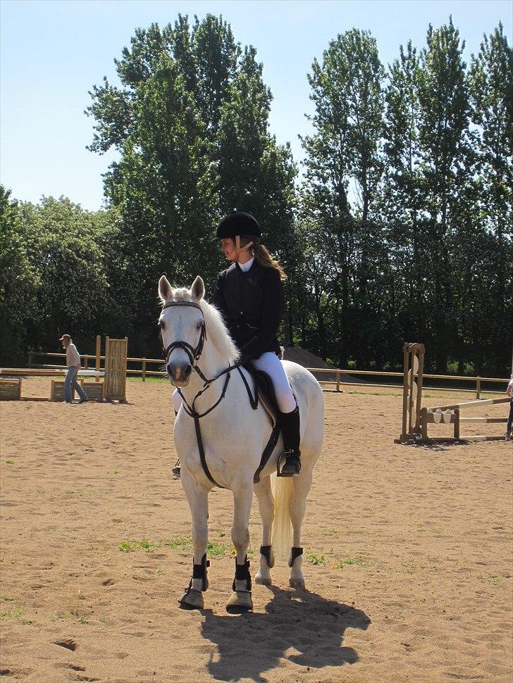 Connemara Skatholm Surf Rider - <3<3 billede 11