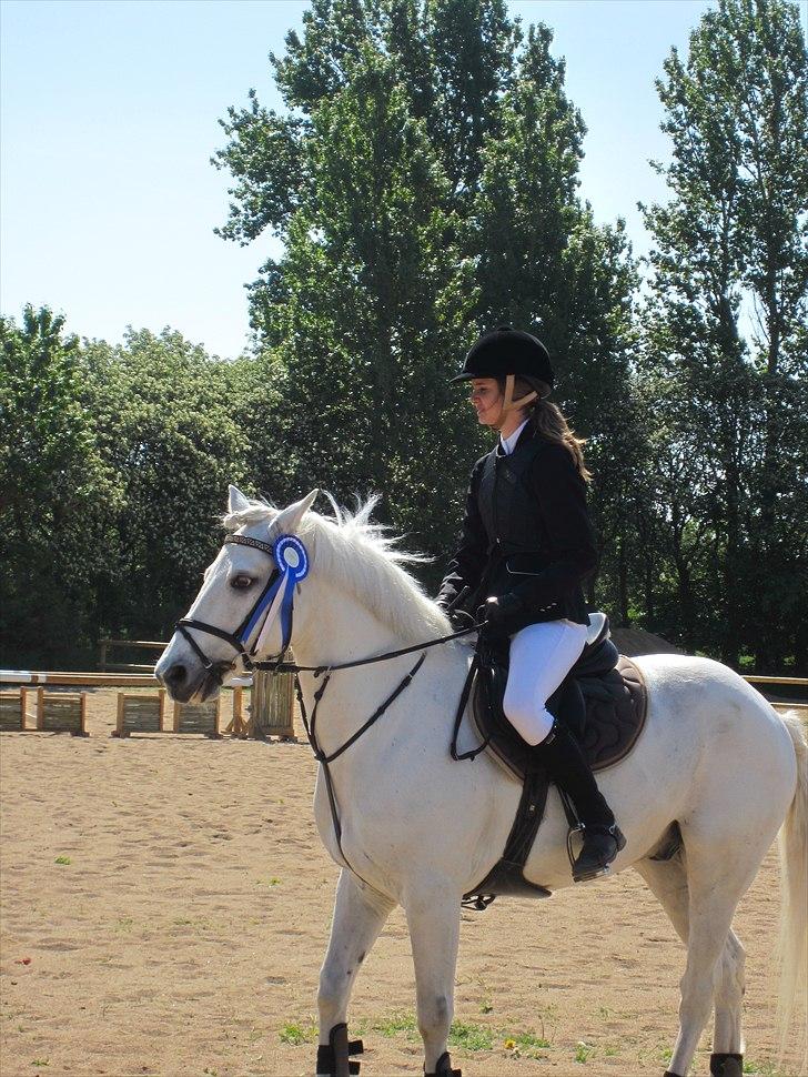 Connemara Skatholm Surf Rider - 2. Plads LB billede 12