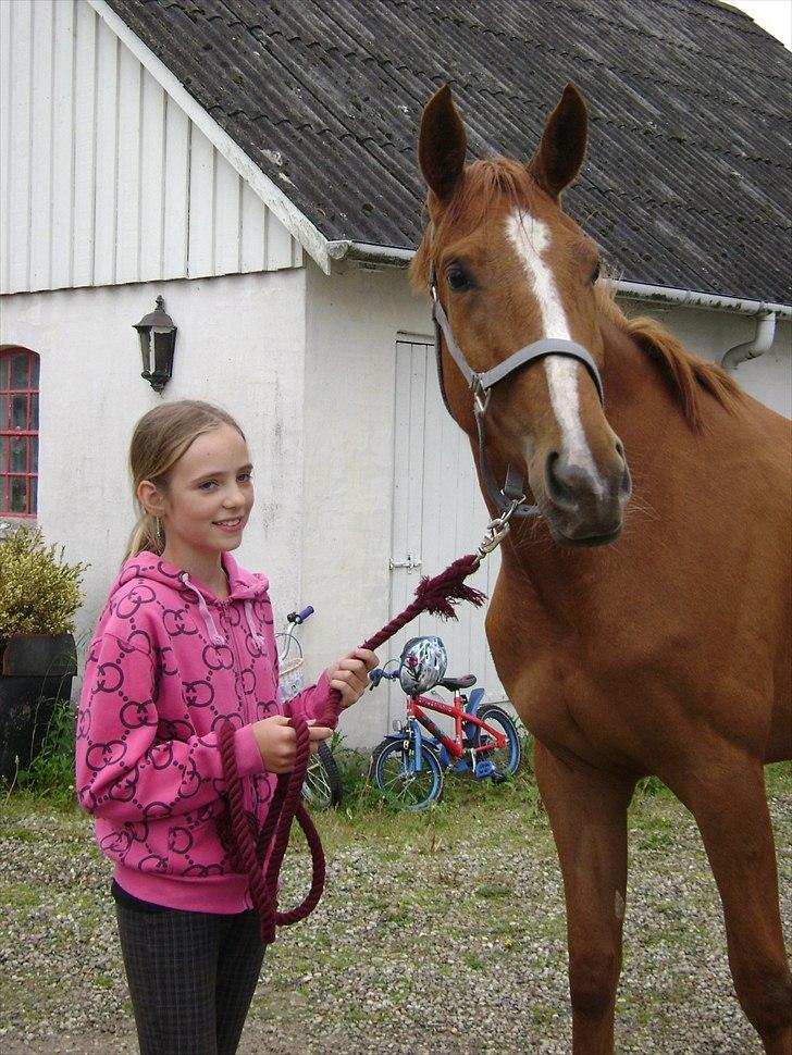 Anden særlig race | Tequila Sunrise «3 | R.I.P 25-06-2012 billede 15