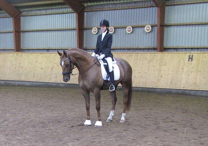 Anden særlig race Thor - Første stævne :o). billede 4