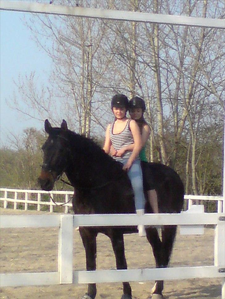 Oldenborg Chivas regall - i efteråret 2011 - mig og min søs  på ham den tykke :) billede 6